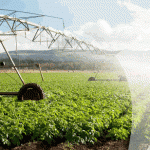 Venture_Australian Agriculture