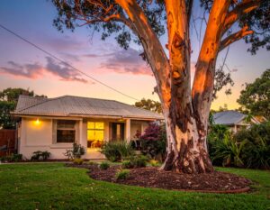 New Widespread Victorian Tree Removal Triggers