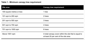 Canopy tree requirement